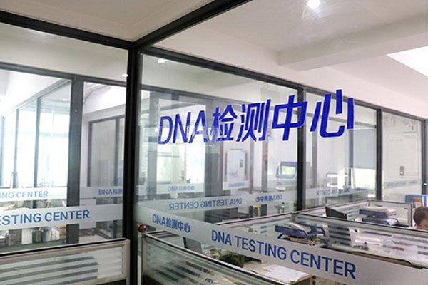 天津DNA鉴定多少钱测才准确（质优价廉的DNA鉴定收费指南） 
